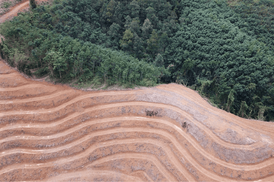 Protecting Our Planet's Future