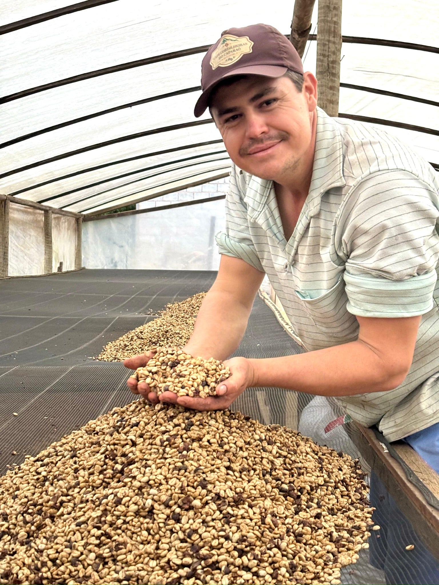 Cafes Muda - Sitio Cordilheiras Arara Variety Brazilian Coffee