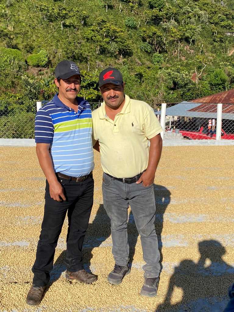 Cafes Muda Bella Vista Guatemala Specialty Coffee Producer