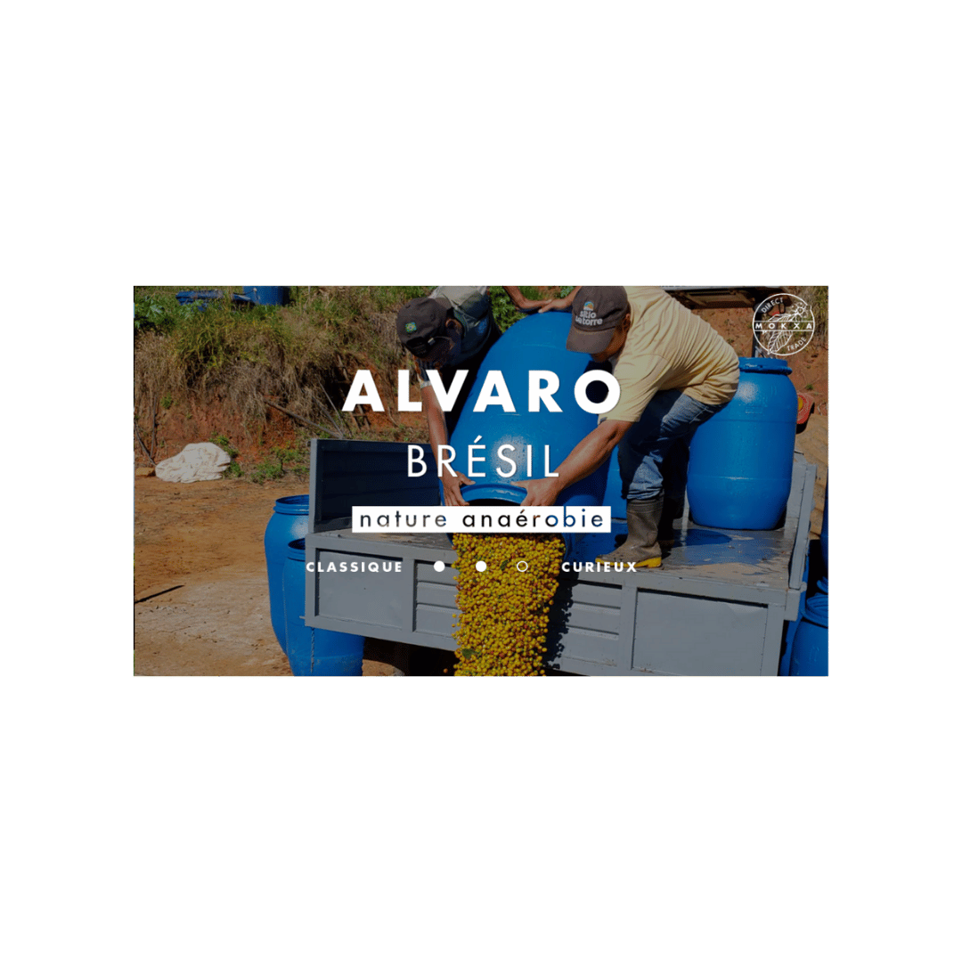 Cafe Mokxa - Alvaro Brazil Specialty Coffee