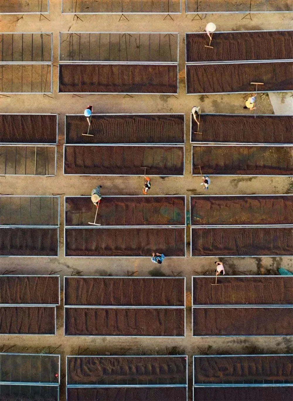 KB Coffee Roasters - Happenstance Filter Coffee China