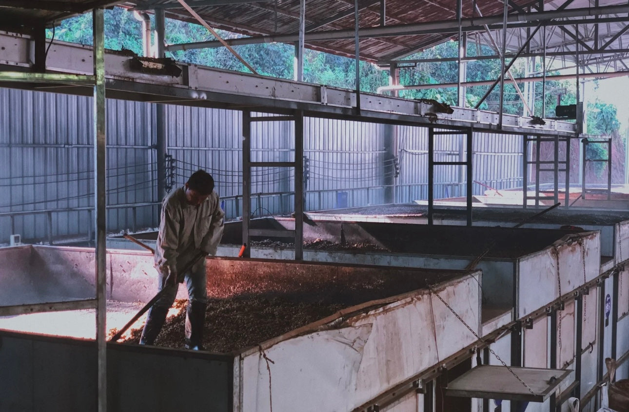 KB Coffee Roasters - Happenstance Filter Coffee China