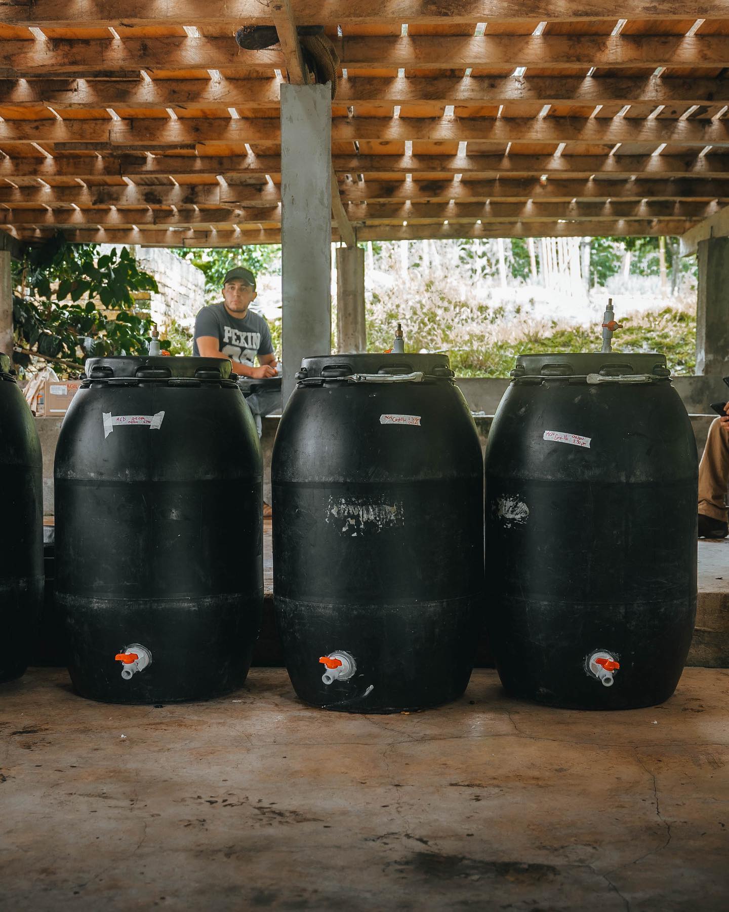 Aroma Nativo EFM1380, Filter - Colombia