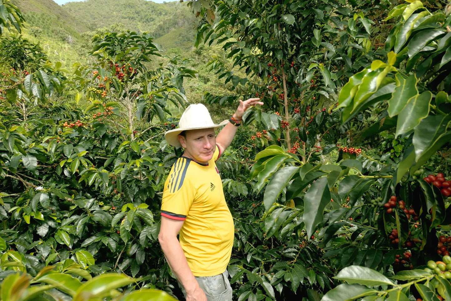 KB Coffee Roasters - El Origen Espresso Coffee Colombia Farmer