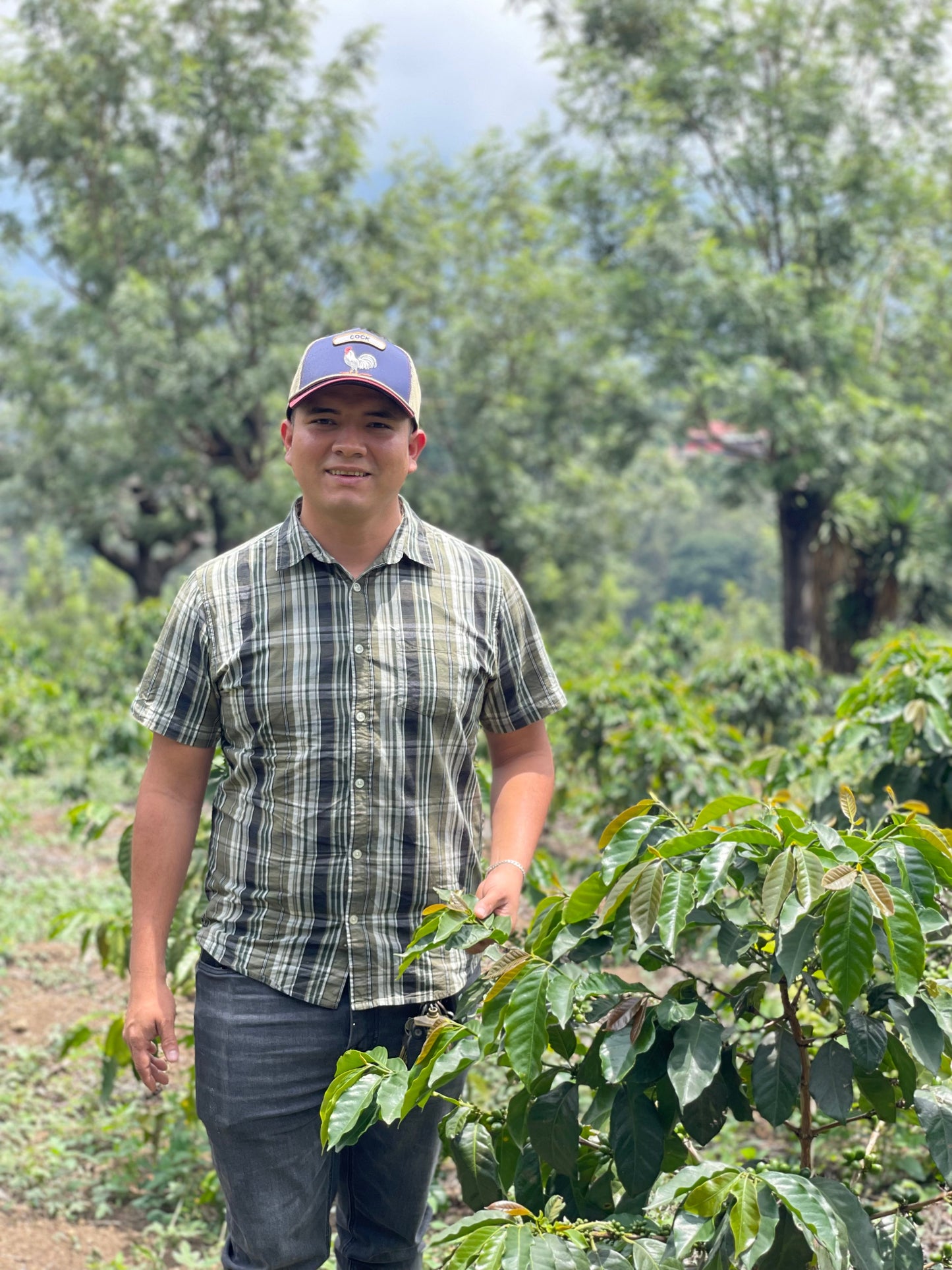 KB Coffee Roasters - La Pampa, Espresso Coffee Guatemala Grower
