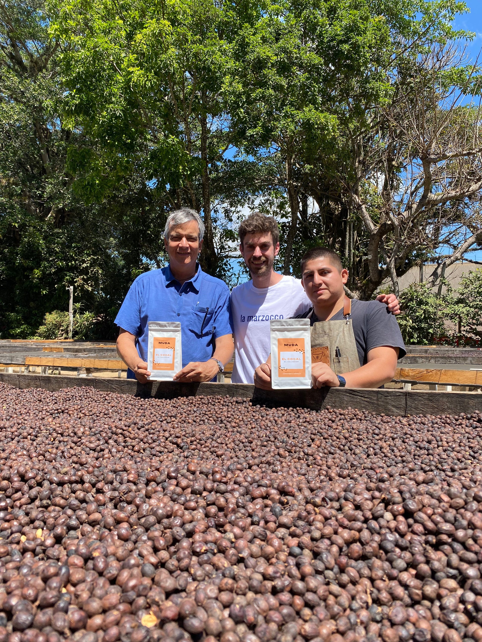 Cafes Muda El Gobiado El Salvador Specialty Coffee Producer