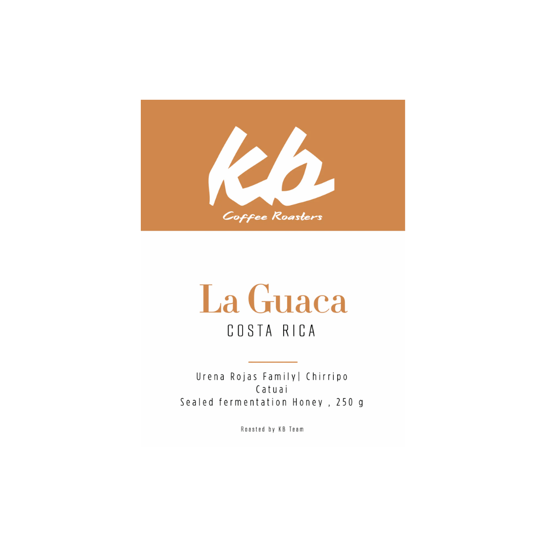KB Coffee Roasters - La Guaca Filter Coffee Costa Rica