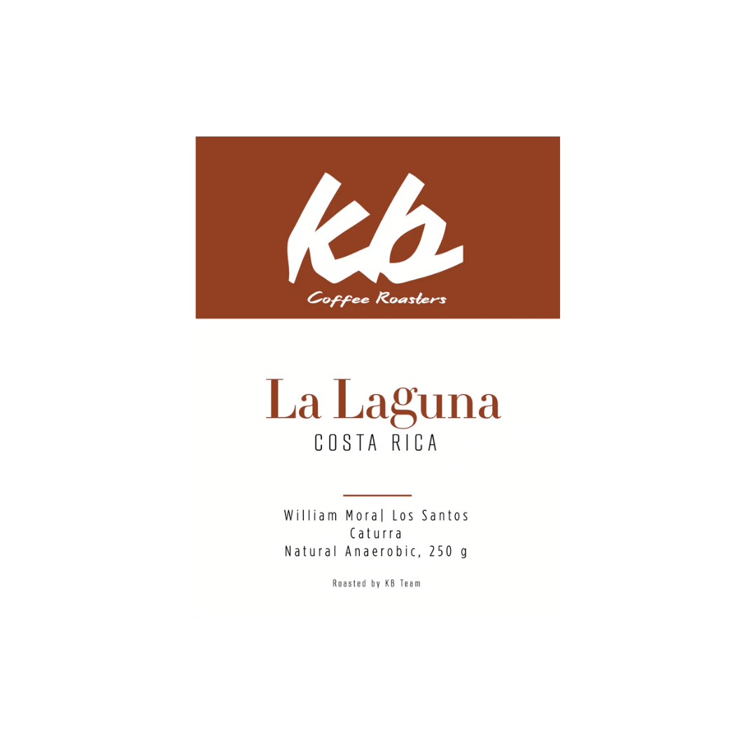 KB Coffee Roasters - La Laguna Filter Coffee Costa Rica