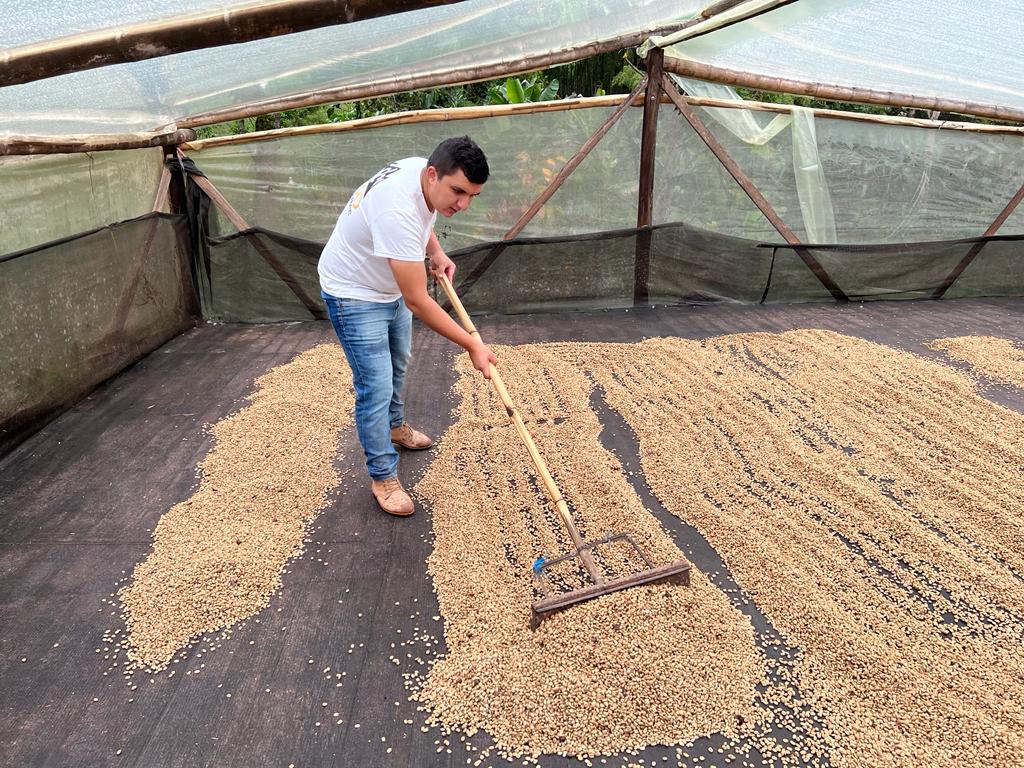Cafes Muda Nestor Lasso Colombia Specialty Coffee Producer