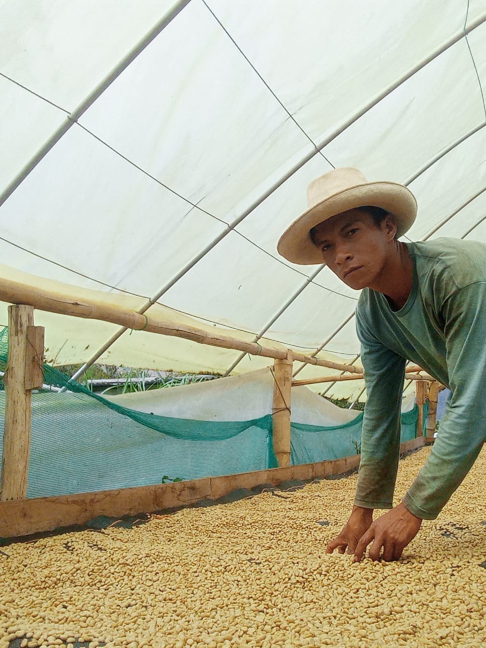 Cafes Muda - Andy LLanos, Geisha, Peru Filter Coffee Farmer
