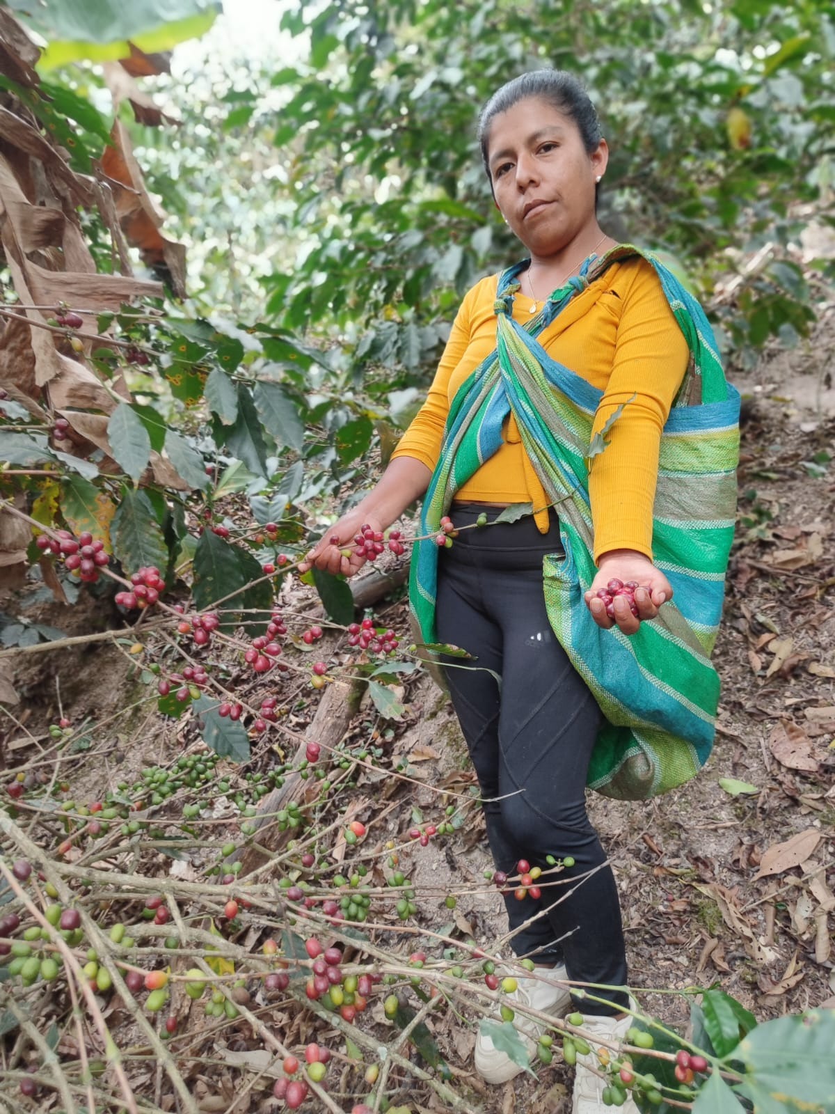 KB Coffee Roasters - Finca Yanacocha, Filter Coffee Peru Grower