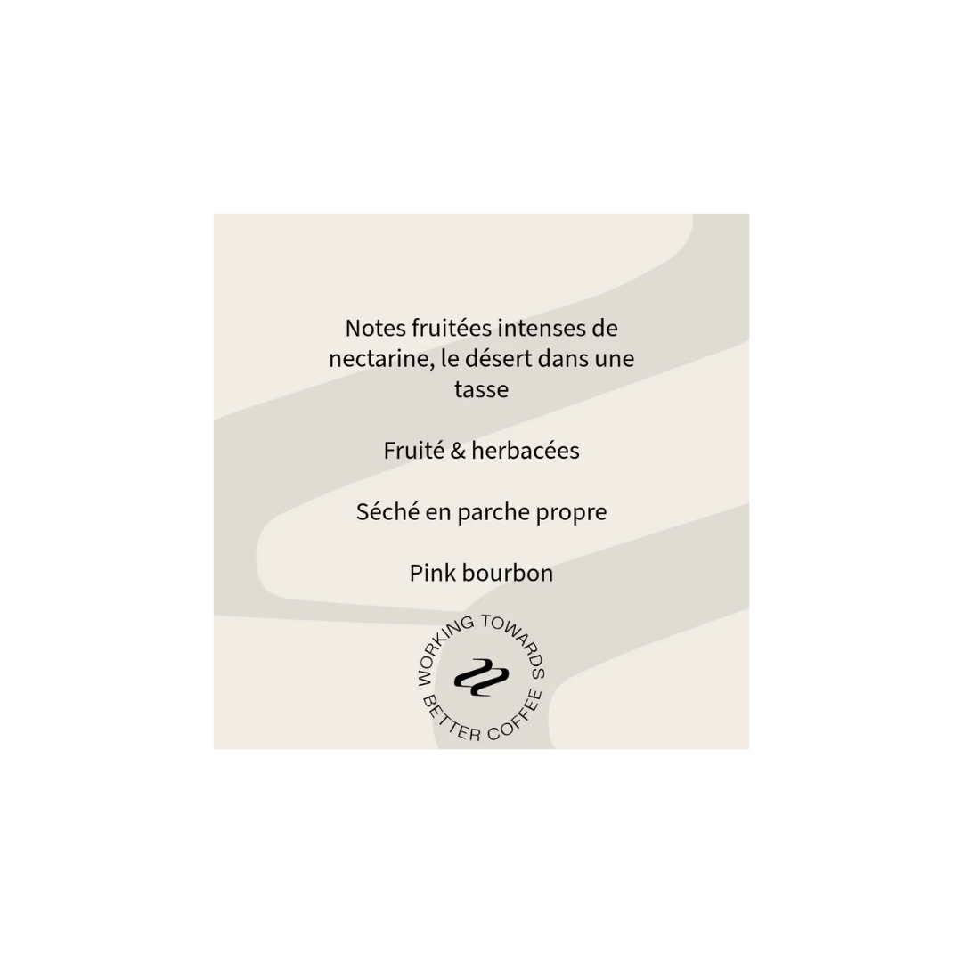 Tribute - Bolney and Adele Reinoso Pink Bourbon Light Roasted Coffee Colombia Tasting Notes