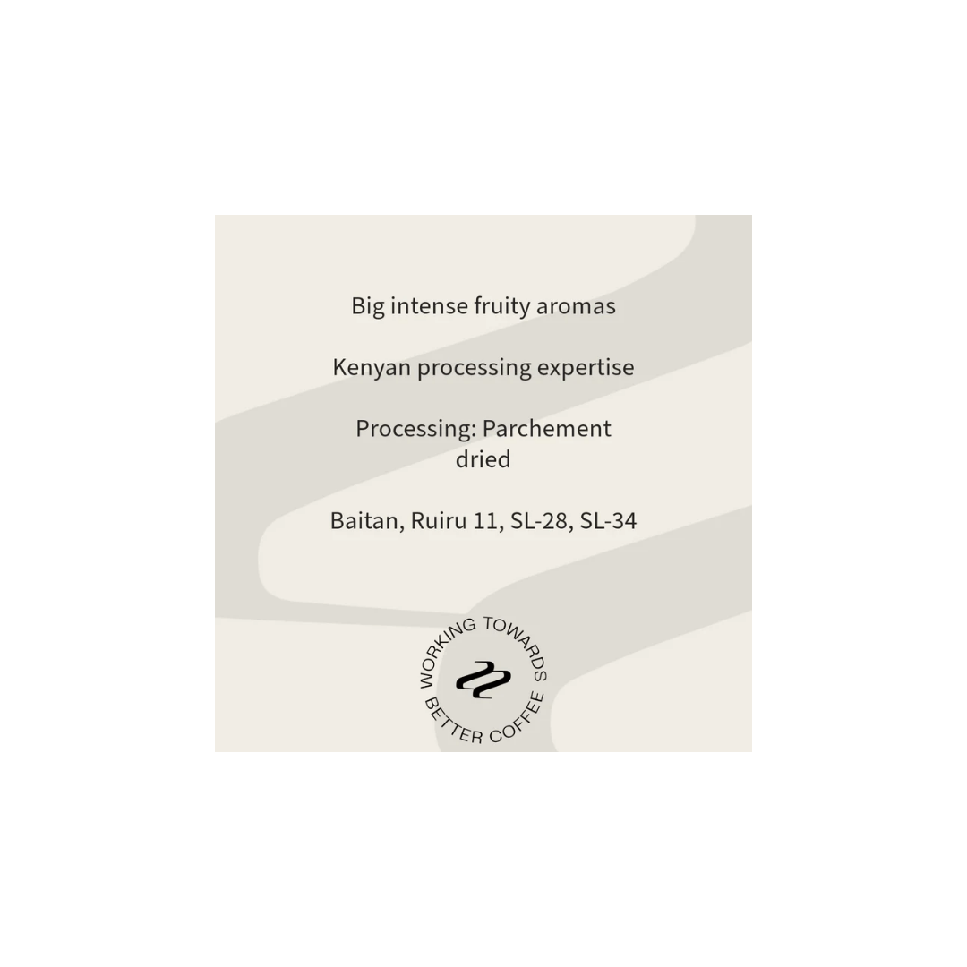 Tribute - Guama Factory Kenya Filter Coffee Tasting Notes