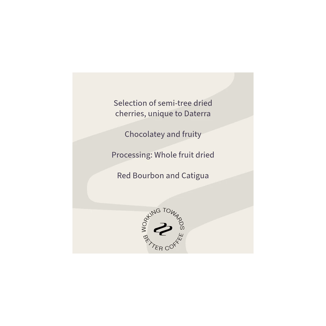 Tribute - Luis Pascoal Brazil Specialty Coffee Tasting Notes