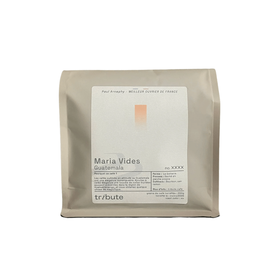 Tribute - Maria Vides Filter Coffee Guatemala