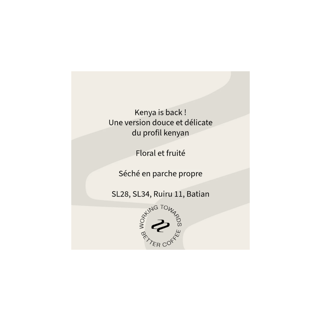 Tribute - Ndundu Factory Filter Coffee Kenya Tasting Notes
