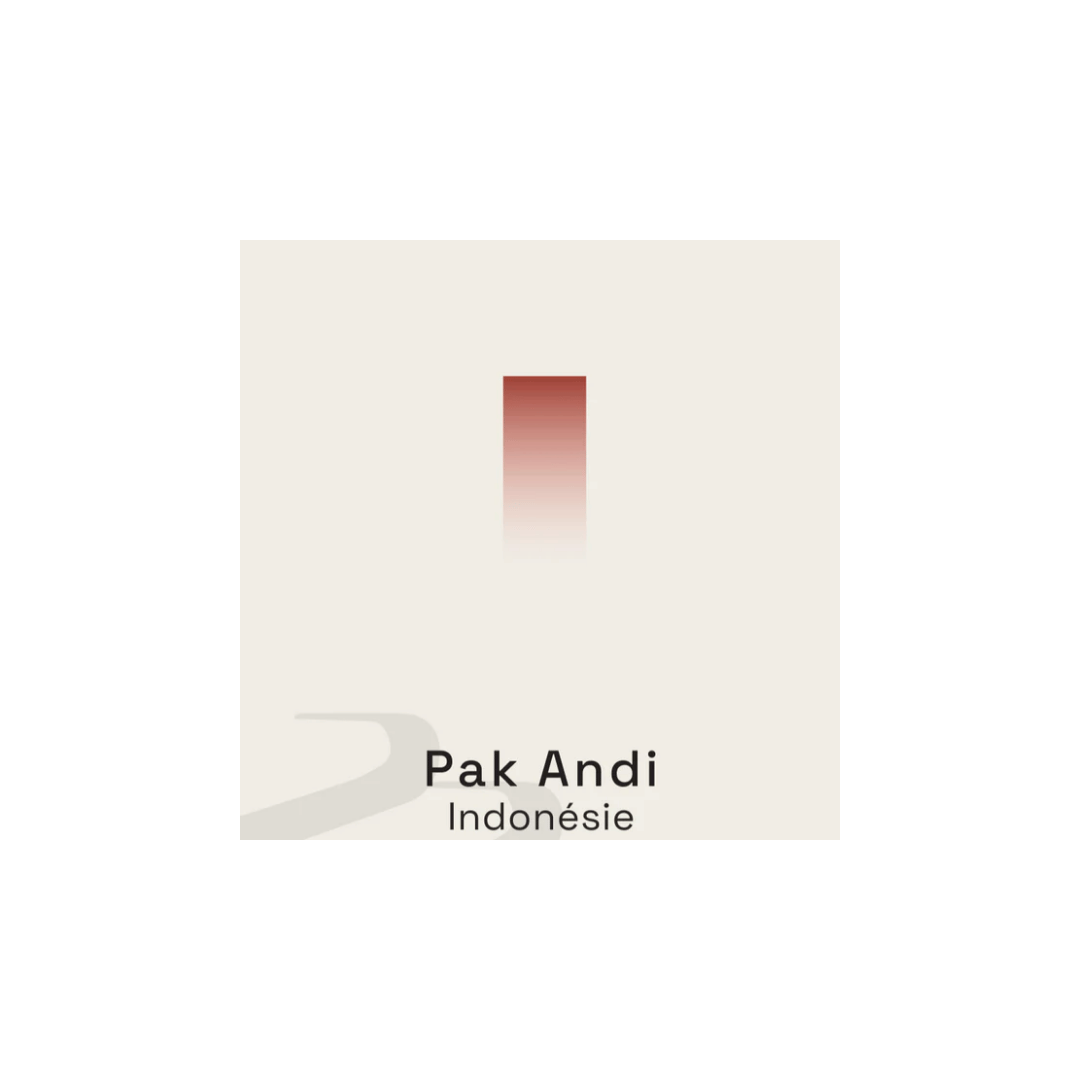 Tribute - Pak Andi Indonesian Specialty Coffee
