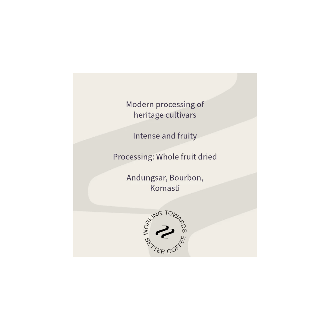 Tribute - Pak Andi Indonesian Specialty Coffee Tasting Notes