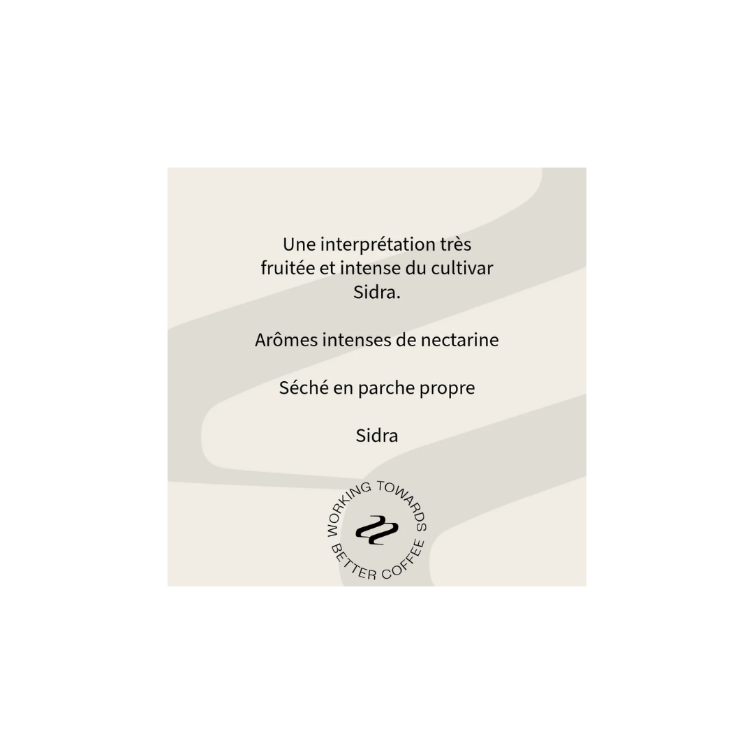 Tribute - Romo and Morales Specialty Coffee Ecuador Tasting Notes