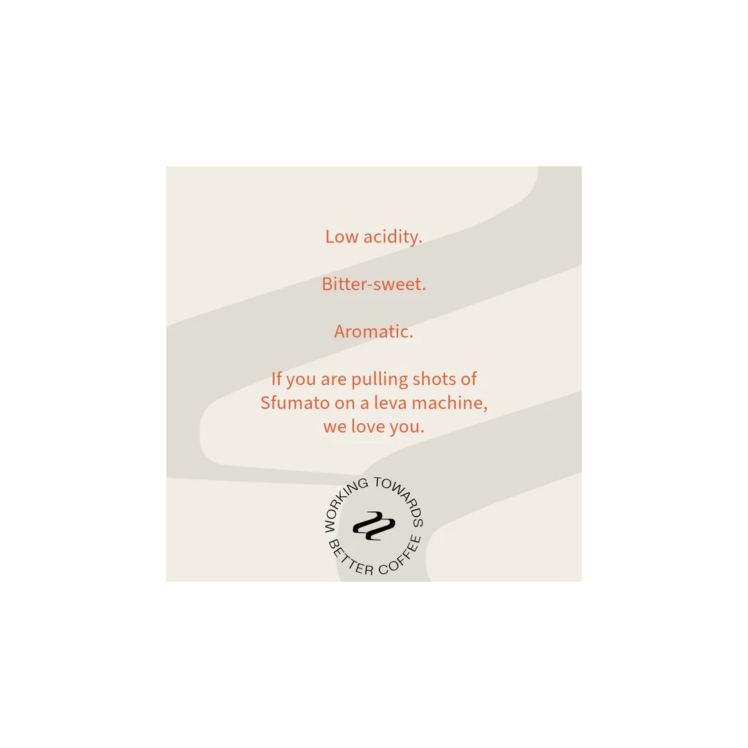 Tribute- Sfumato Blend Specialty Coffee Tasting Notes