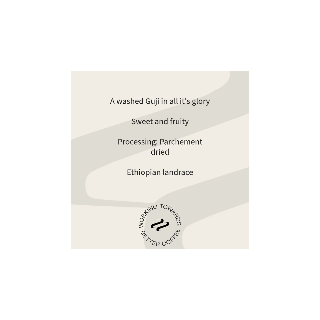 Tribute - Shonora Coffee Ethiopia Tasting Notes