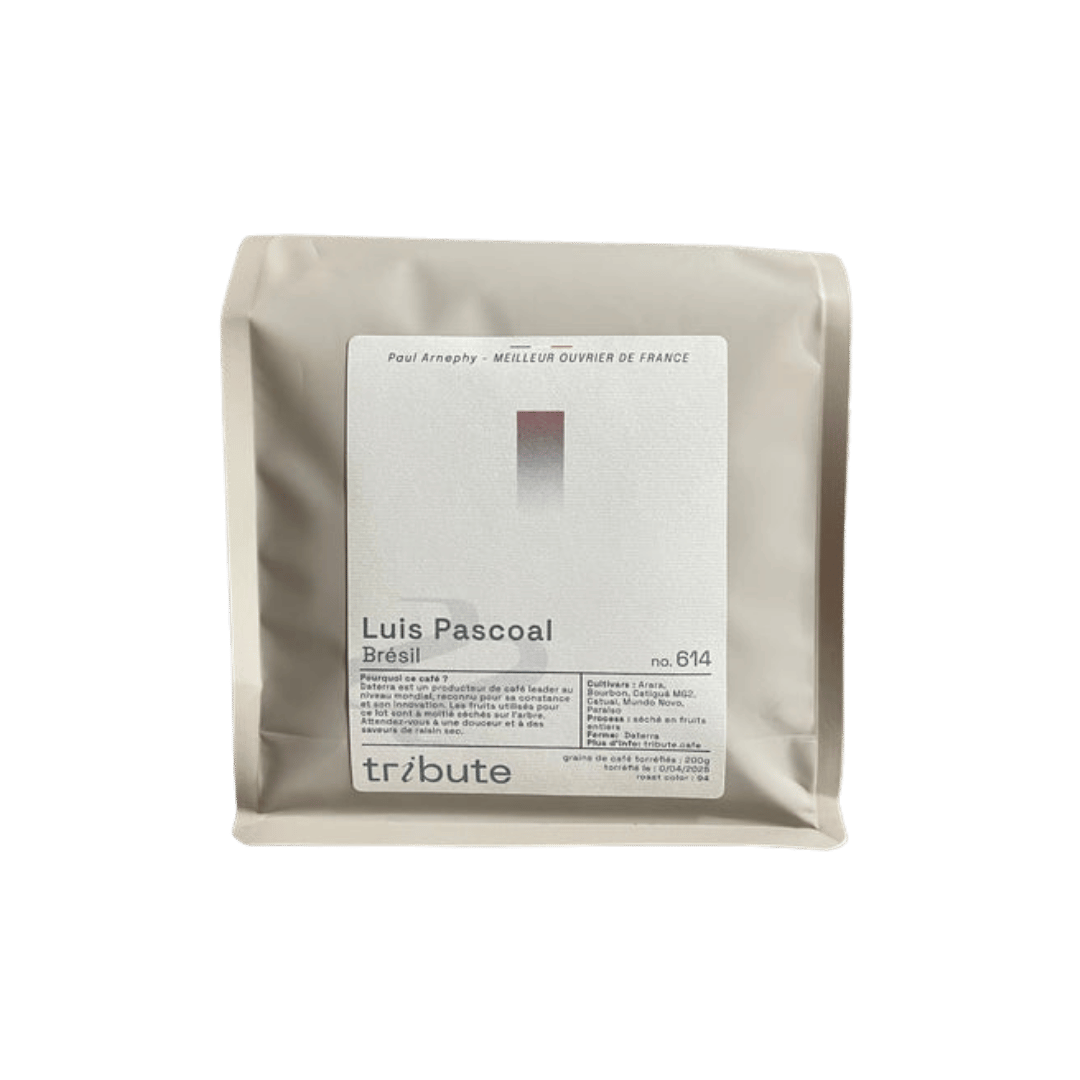 Tribute - Luis Pascoal Brazil Specialty Coffee