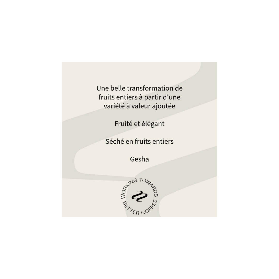 Tribute - Rojas and Requejo Specialty Coffee Peru Tasting Notes