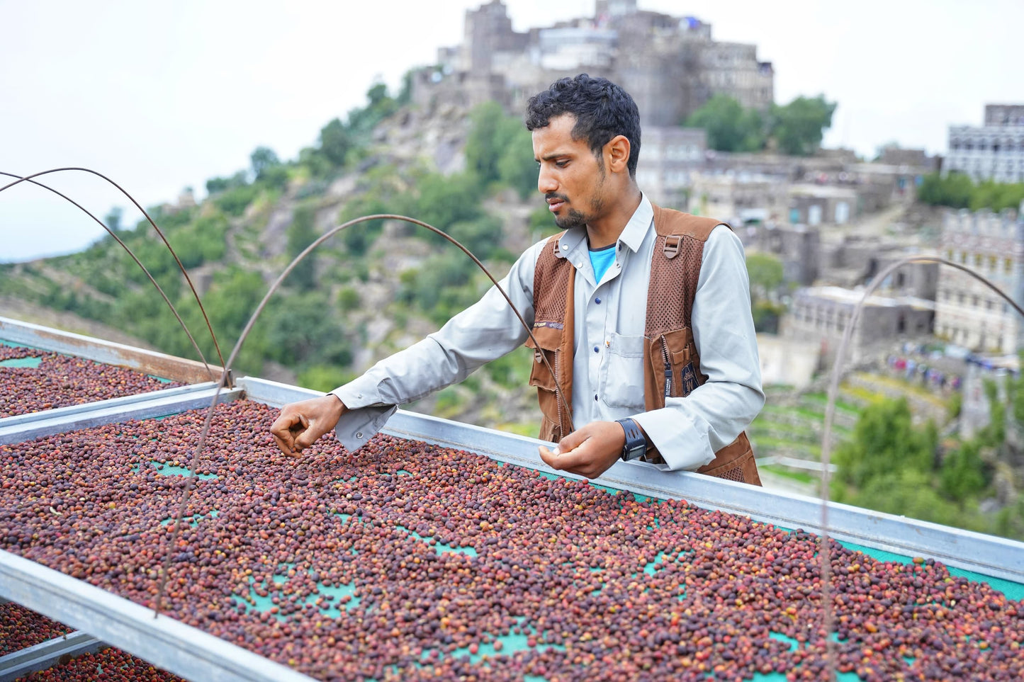 KB Coffee Roasters - Hydra Reviva Filter Coffee Yemen Coffee Drying