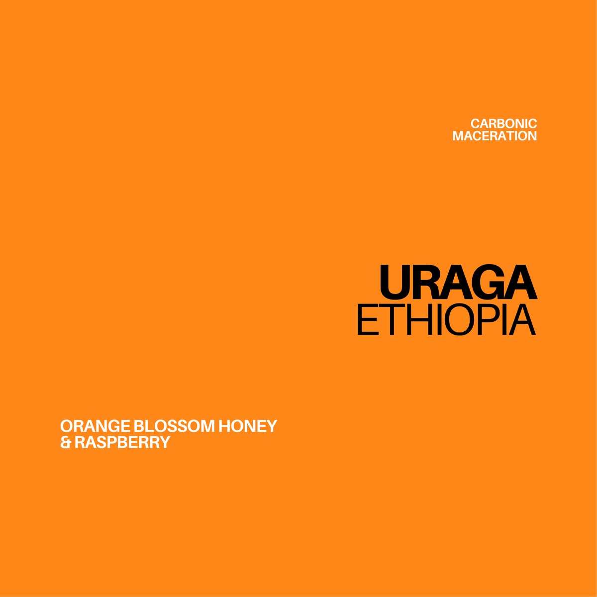 Gust Coffee Roasters - Uraga Espresso Coffee Ethiopia Tasting Notes