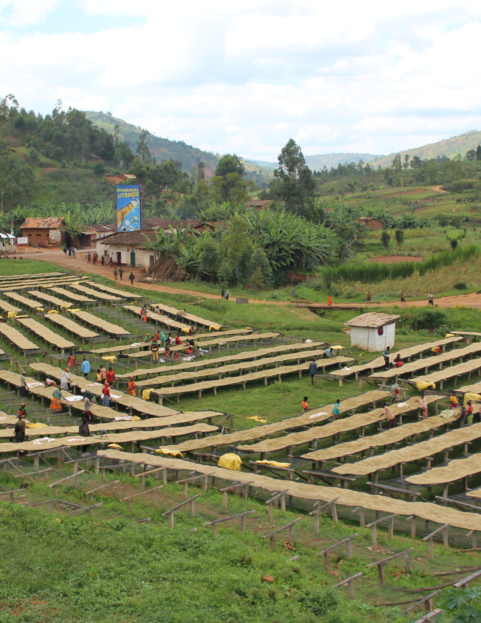 Gust Coffee Roasters - Butegana Burundi Filter Coffee Farm
