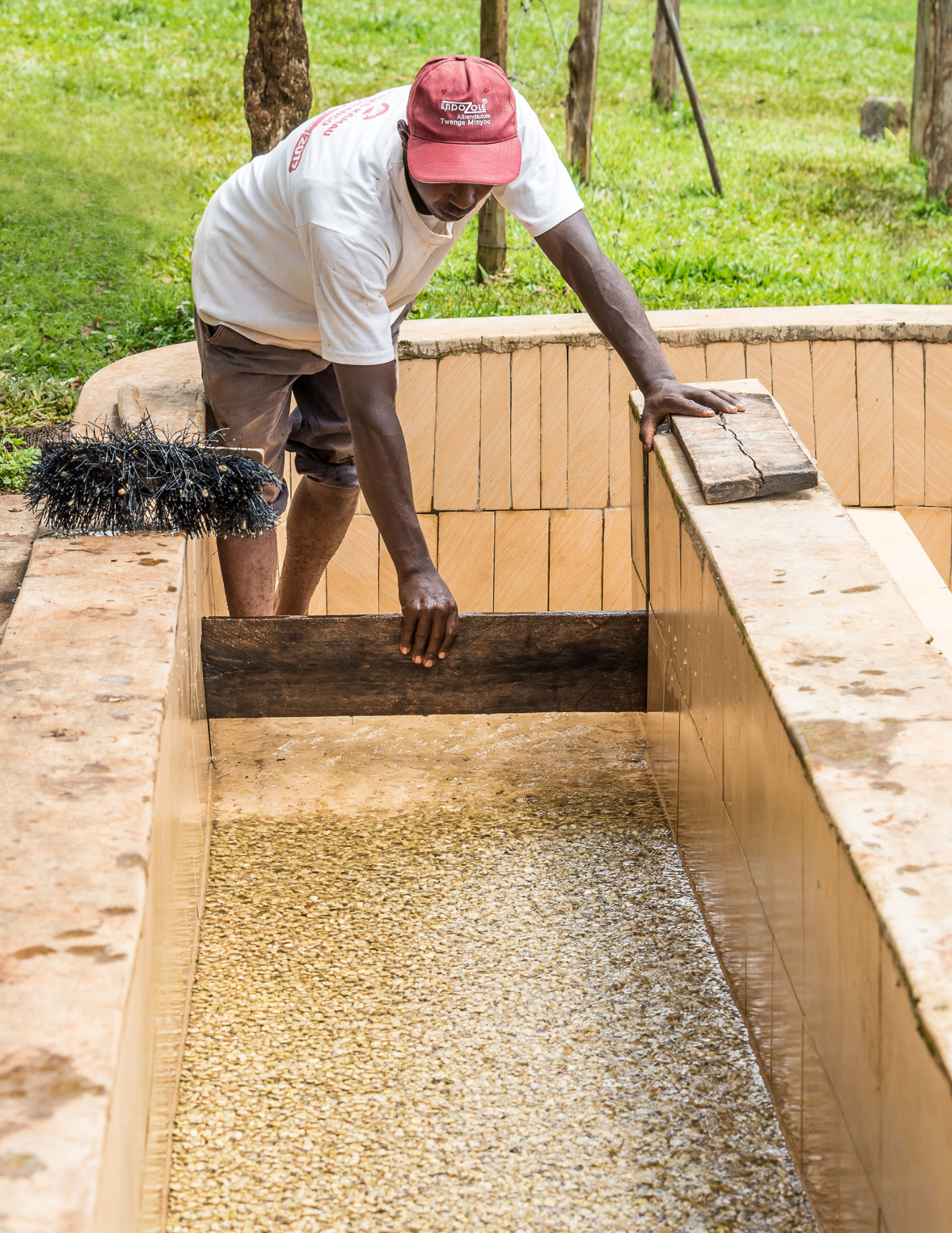 Gust Coffee Roasters - Ngandu Filter Coffee Kenya Washing Station