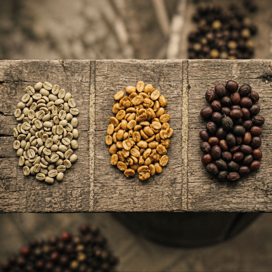 Washed, natural, honey: the step that shapes flavour more than the roast