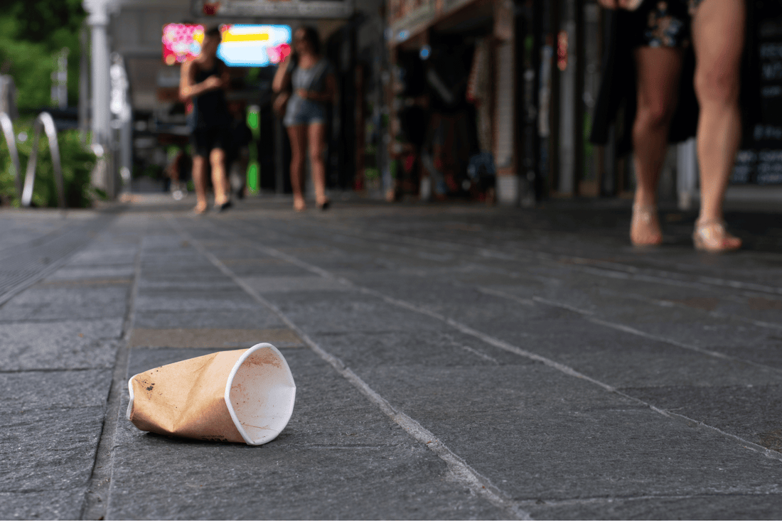 Reforming our Wasteful Ways