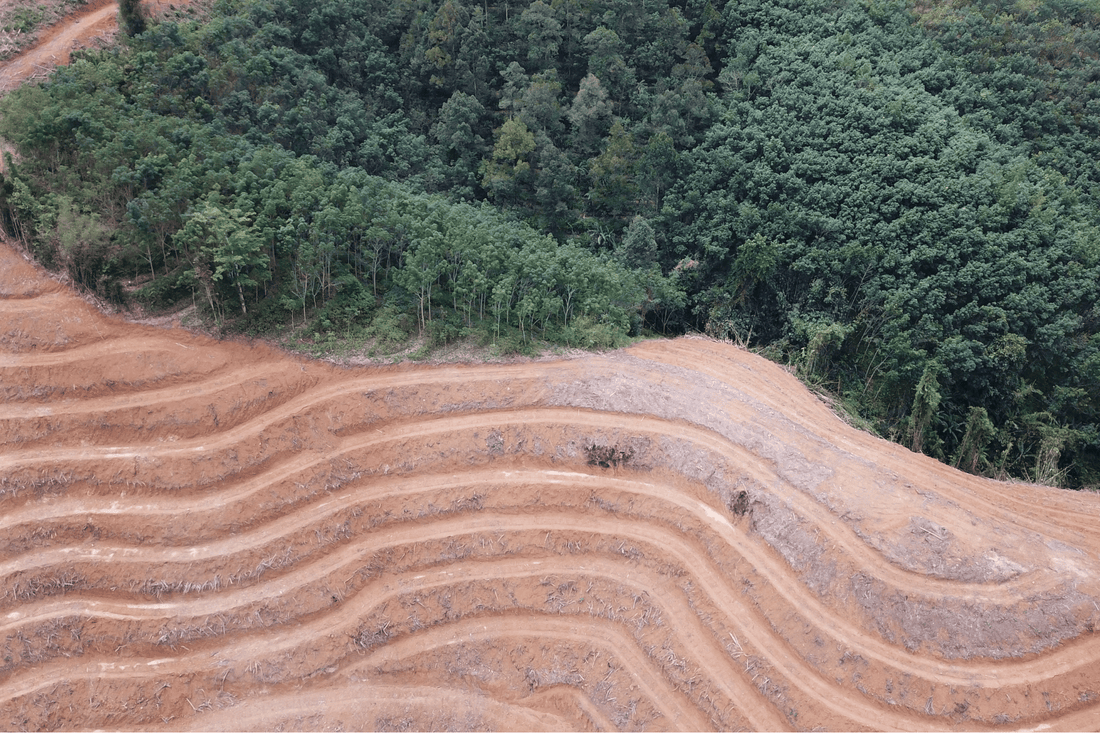 Protecting Our Planet's Future