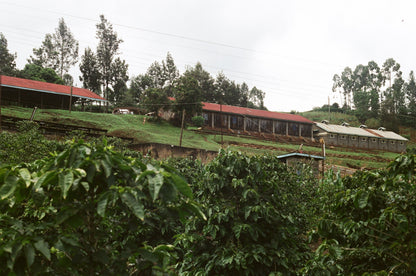 Parcel - AB Inoi Ndimi Filter Coffee Kenya Farm