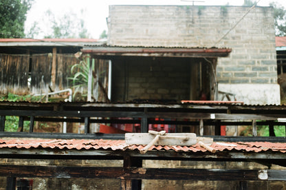 Parcel - KEN-002 AA Riakiberu Specialty Coffee Kenya Washing Station