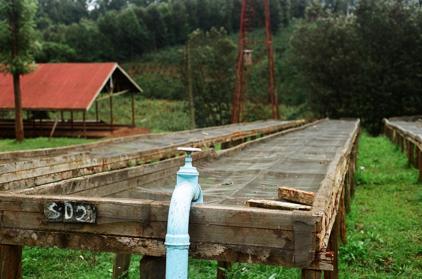 Parcel - KEN-002 AA Riakiberu Specialty Coffee Kenya Washing Station 