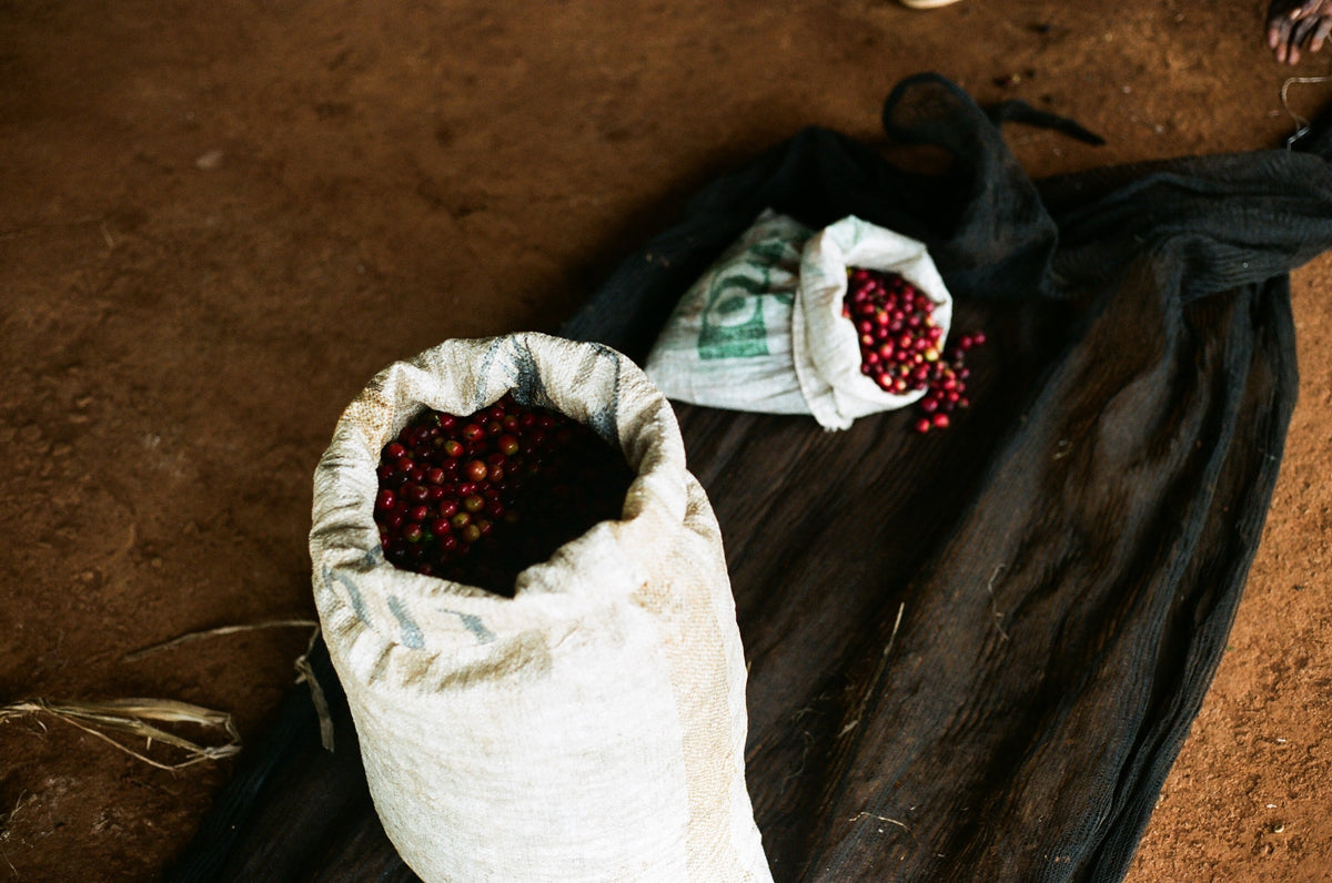 Parcel - AB Inoi Ndimi Filter Coffee Kenya Coffee Cherries