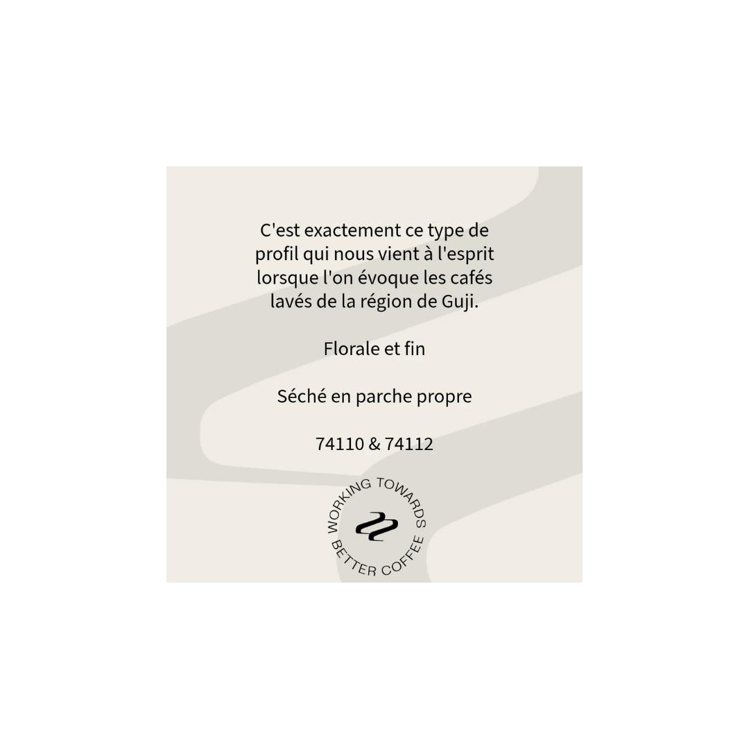 Tribute - Ture Waji Filter Coffee Ethiopia Tasting Notes