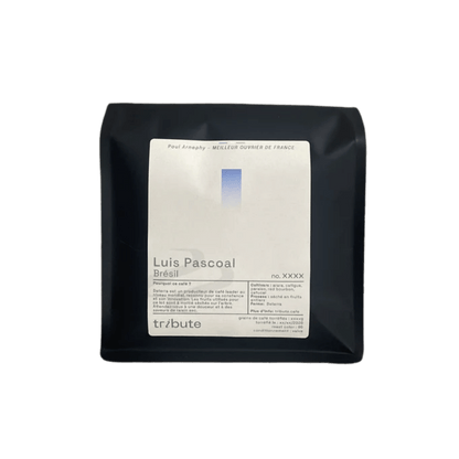 Tribute - Luis Pascoal Espresso Specialty Coffee Brazil
