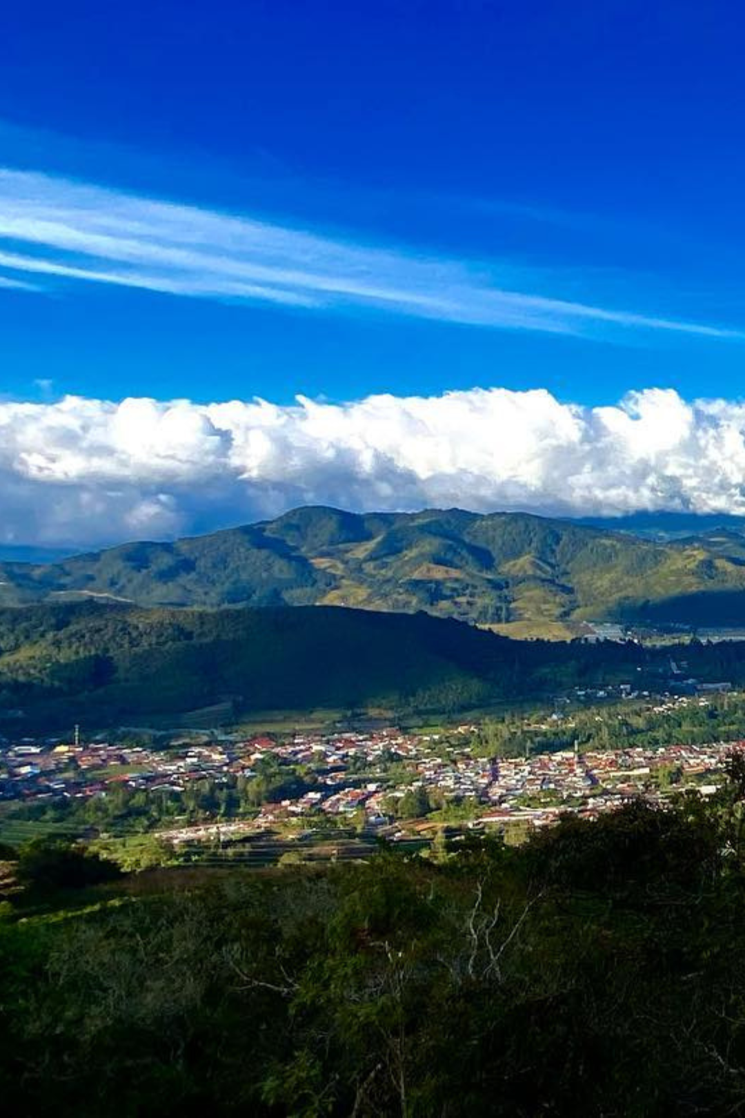 Costa Rica - Los Campos | filter - Gust Coffee Roasters