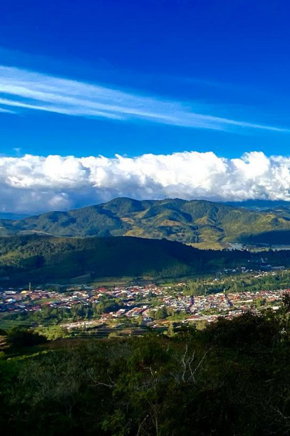 Costa Rica - Los Campos | filter - Gust Coffee Roasters