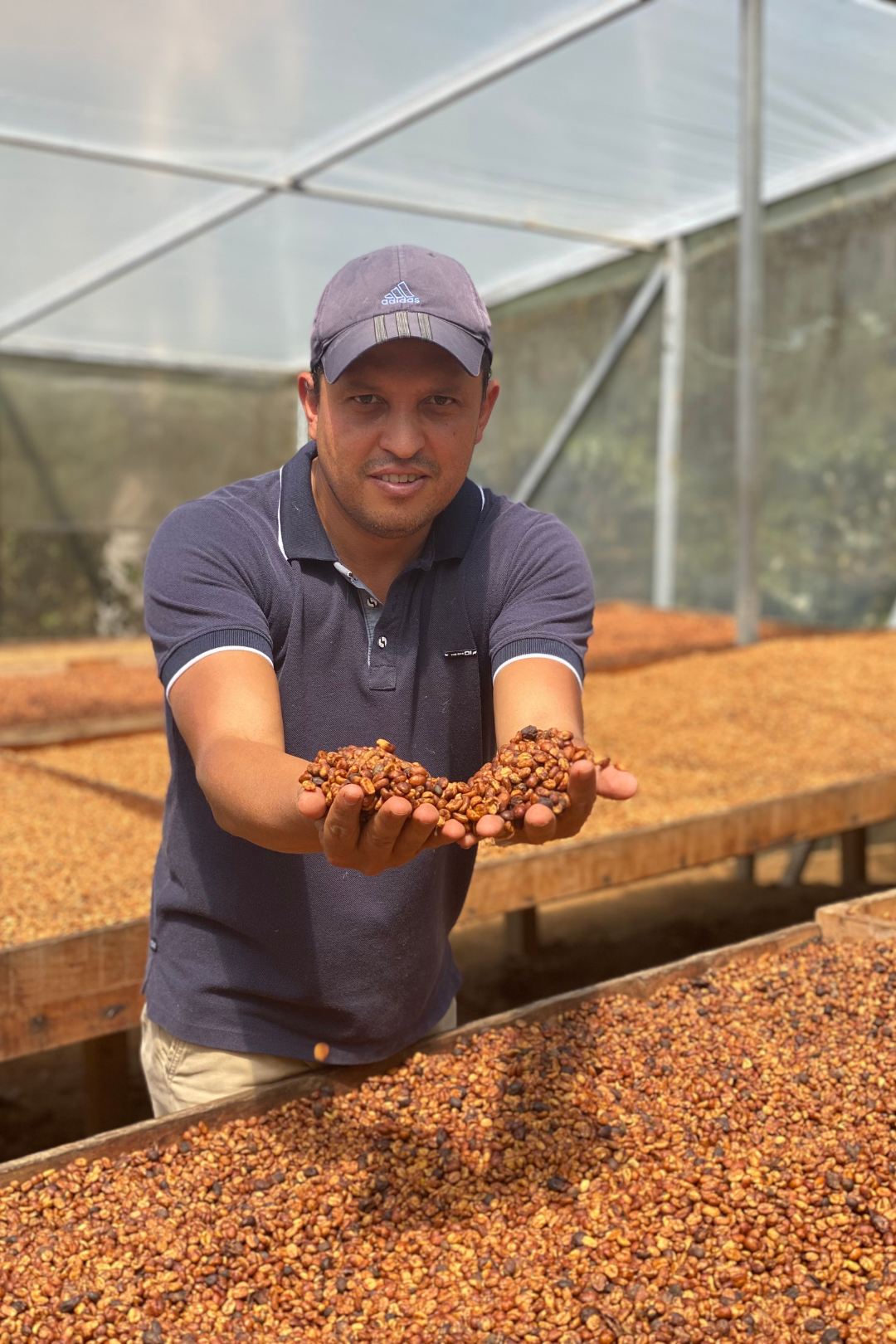 Costa Rica - Los Campos | filter - Gust Coffee Roasters