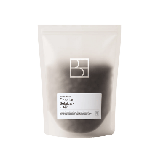 Bel Horizon Coffee Roasters - Pacamara Filter Coffee El Salvador