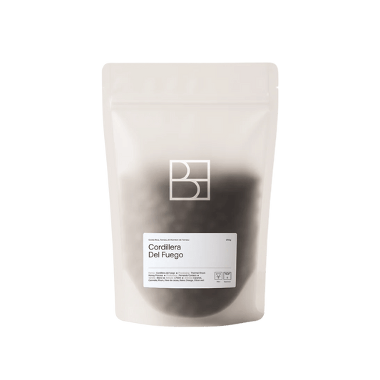 Bel Horizon Coffee Roasters - Cordillera Del Fuego Filter Coffee Costa Rica
