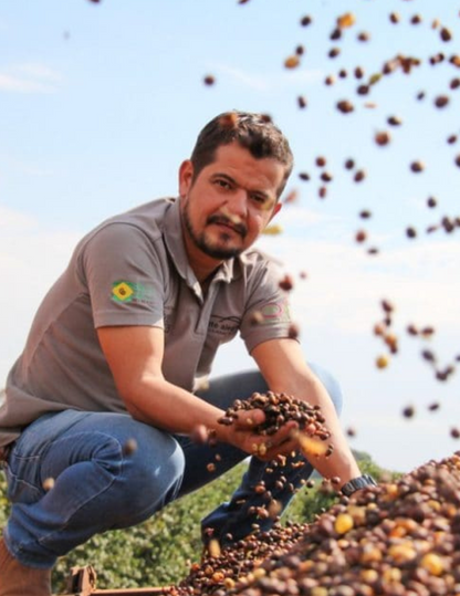 Gust Coffee Roasters - Bela Epoca Espresso Coffee Brazil Farmer