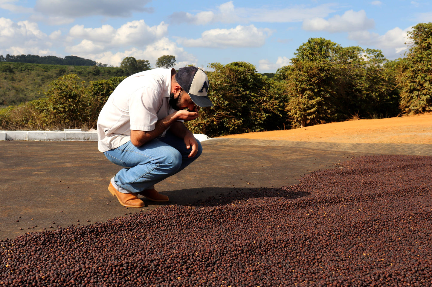 Cerrado Grande, Espresso - Brazil
