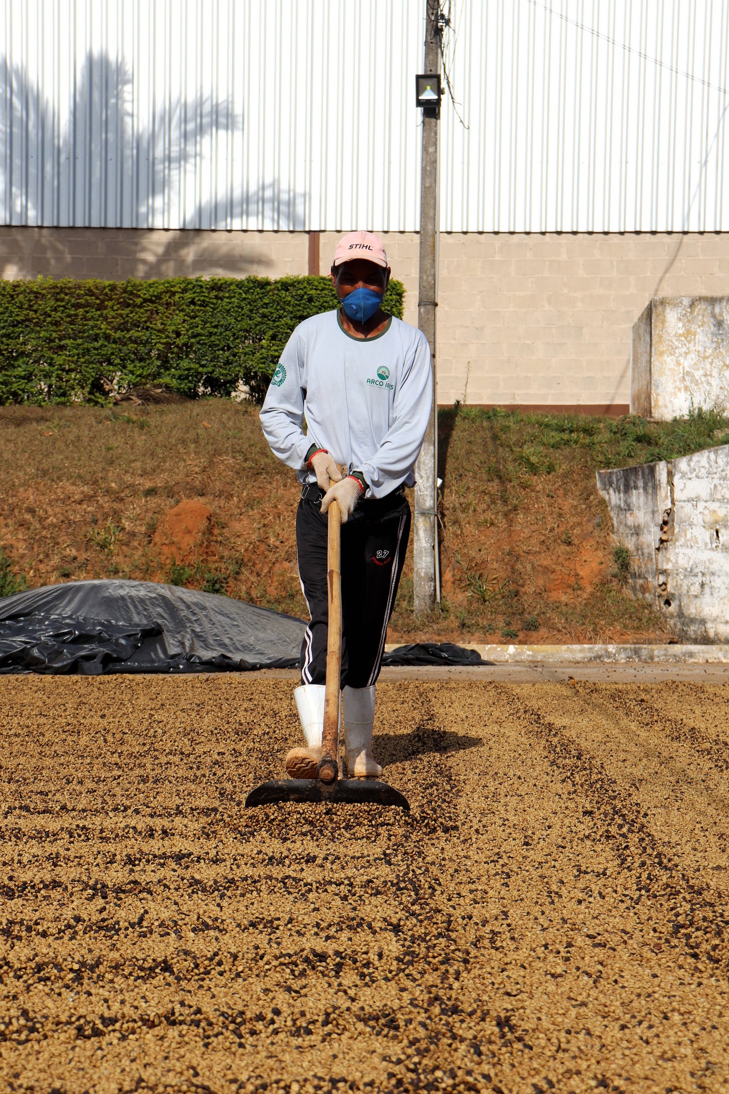 KB Coffee Roasters - Fazenda Arco Iris Espresso Coffee Brazil Process
