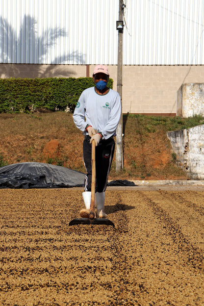 KB Coffee Roasters - Fazenda Arco Iris Espresso Coffee Brazil Process