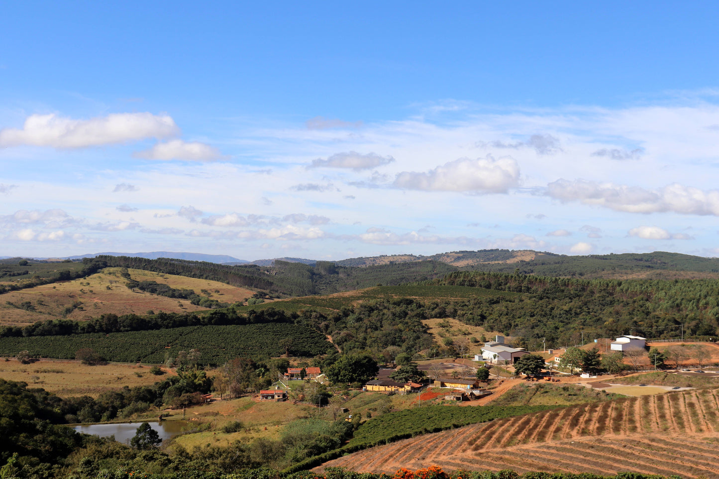 KB Coffee Roasters - Fazenda Arco Iris Espresso Coffee Brazil Farm